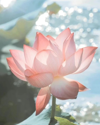 就给他